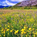 La Morada De Vadinia * Vegacerneja