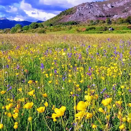La Morada De Vadinia * Vegacerneja