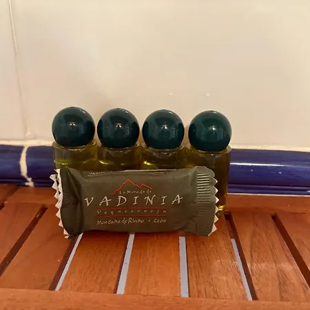 La Morada De Vadinia * Vegacerneja