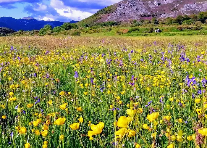 La Morada De Vadinia * Vegacerneja