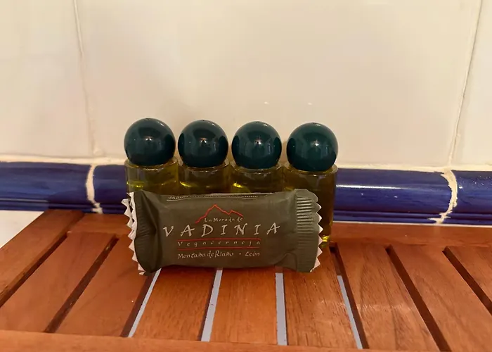 La Morada De Vadinia * Vegacerneja